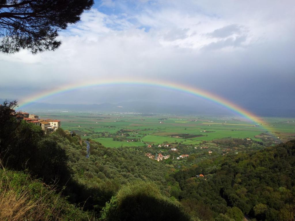 Locanda Mossa Dei Barbari Буриано Экстерьер фото